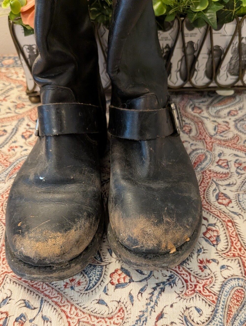 Frye Black Leather Mid-Calf Buckle Boots - Picture 10 of 10